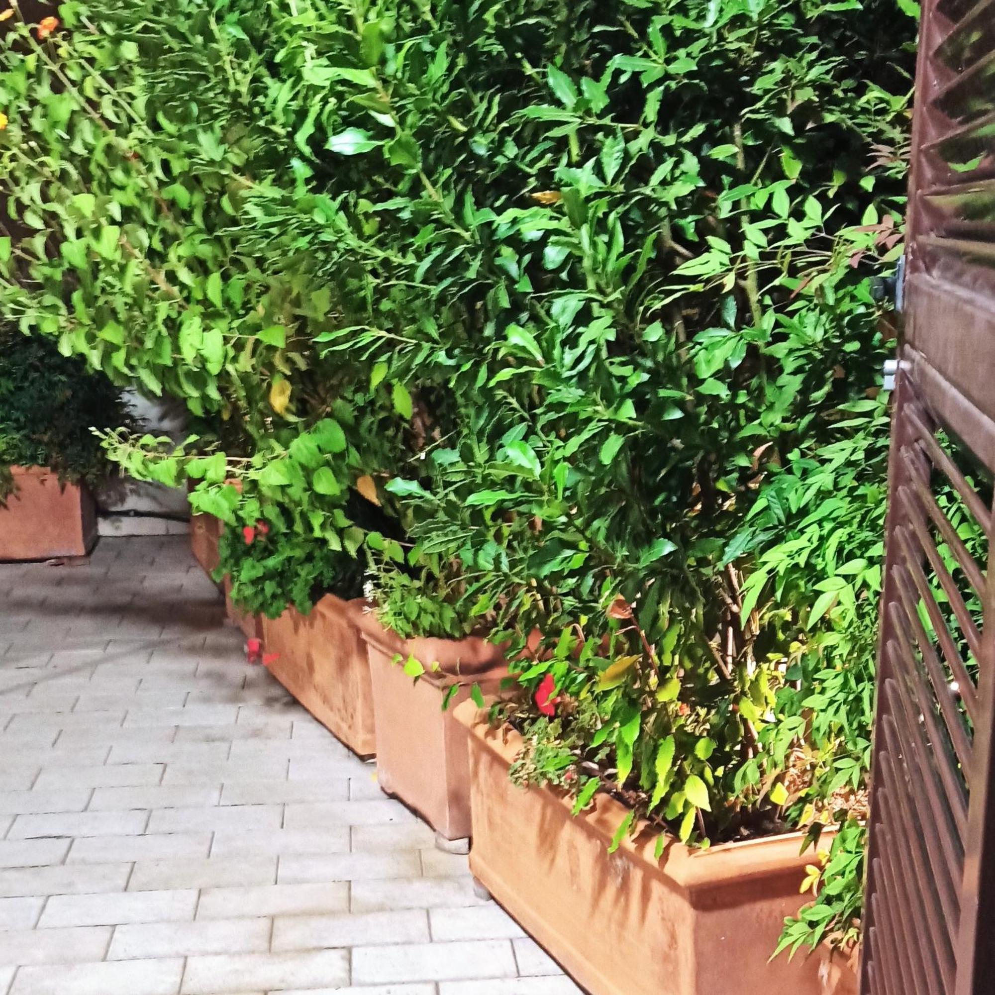 Appartamento Living By Vatican With Panoramic Terraces In *
